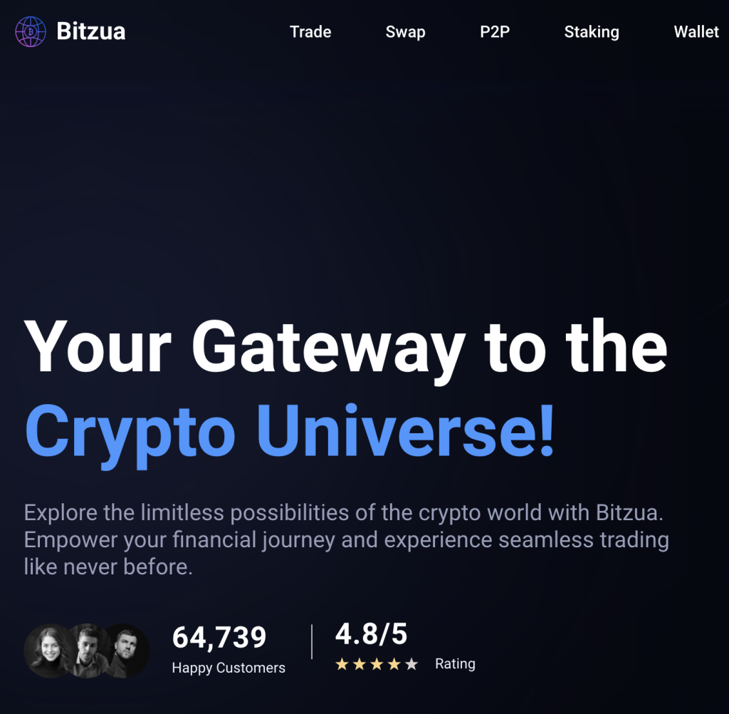 The Dark Side of Bitzua.com